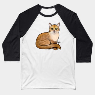 Cat - British Shorthair - Orange Tabby Baseball T-Shirt